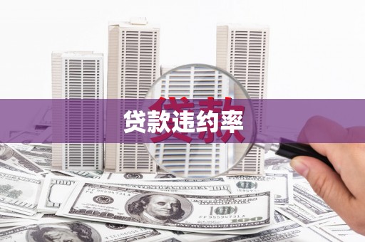 榆中贷款违约率