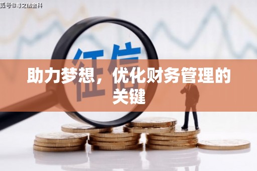 岱山助力梦想,优化财务管理的关键 岱山助力梦想,优化财务管理的关键