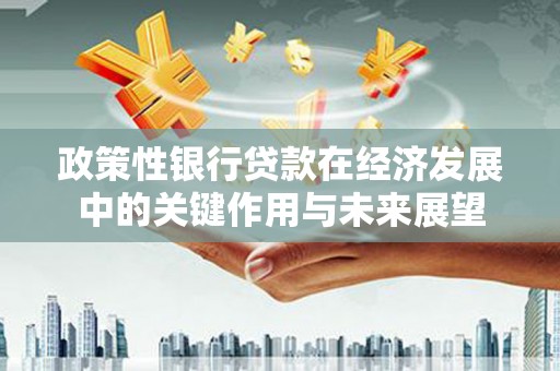 内埔政策性银行贷款在经济发展中的关键作用与未来展望