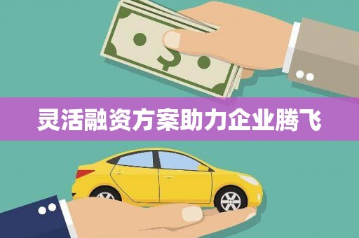 瑞芳灵活融资方案助力企业腾飞
