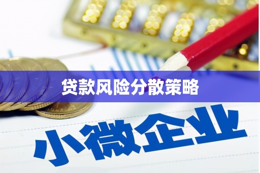 三亚贷款风险分散策略