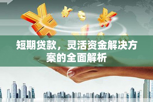 六甲短期贷款，灵活资金解决方案的全面解析