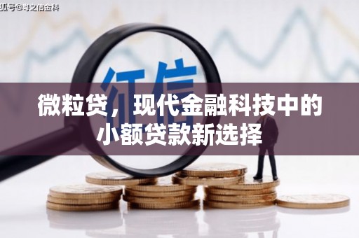 武清微粒贷，现代金融科技中的小额贷款新选择
