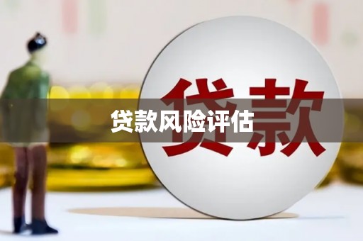 上林贷款风险评估