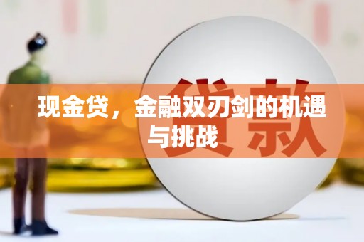 邵阳县现金贷，金融双刃剑的机遇与挑战