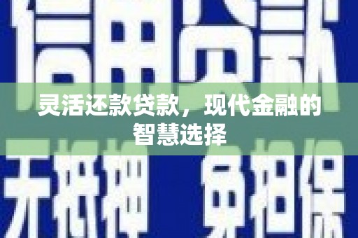 晋州灵活还款贷款，现代金融的智慧选择