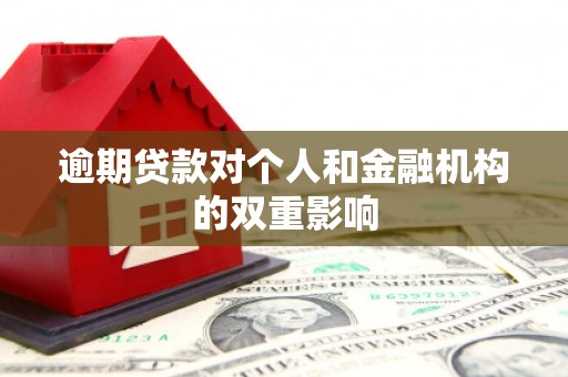 海兴逾期贷款对个人和金融机构的双重影响