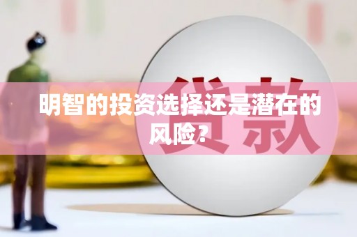 竹东明智的投资选择还是潜在的风险？