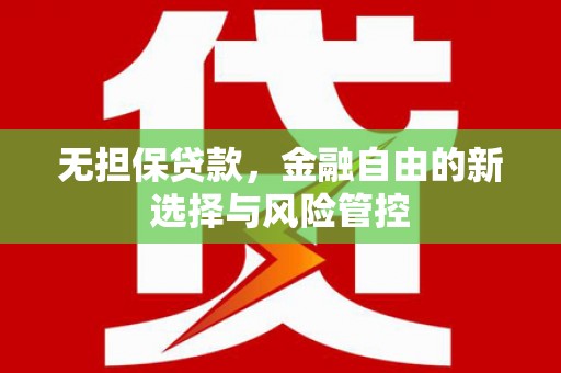 沙洋无担保贷款，金融自由的新选择与风险管控