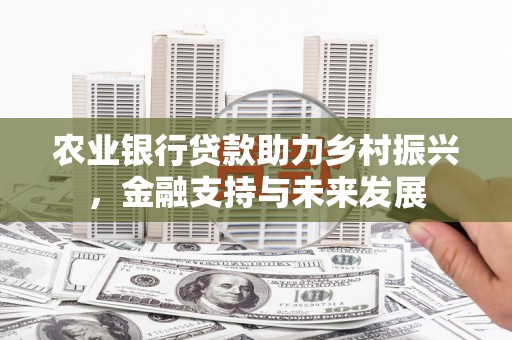 汉阳农业银行贷款助力乡村振兴，金融支持与未来发展