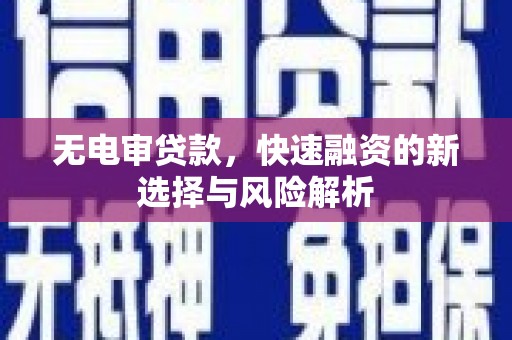 洋县无电审贷款，快速融资的新选择与风险解析
