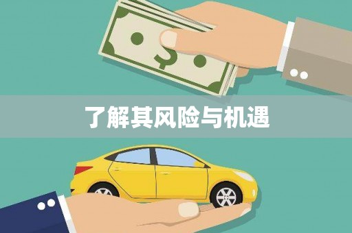 虾峙了解其风险与机遇