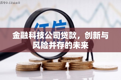 合浦金融科技公司贷款，创新与风险并存的未来