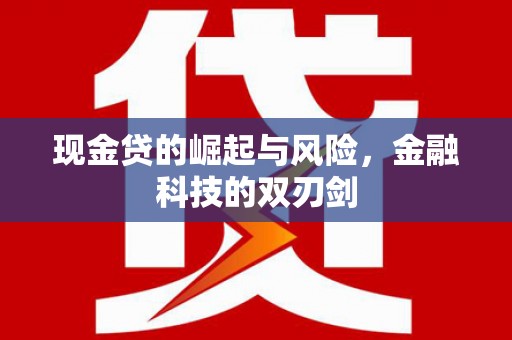 荔湾现金贷的崛起与风险，金融科技的双刃剑