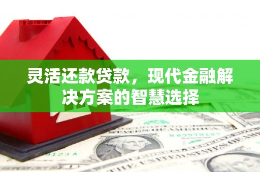 阳朔灵活还款贷款，现代金融解决方案的智慧选择