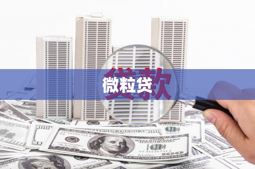 南乐微粒贷