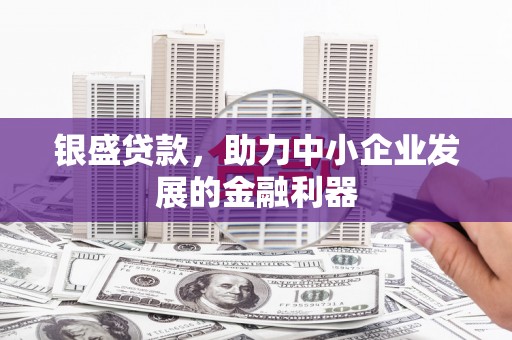 乌恰银盛贷款，助力中小企业发展的金融利器