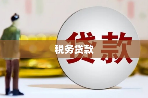 钢城税务贷款