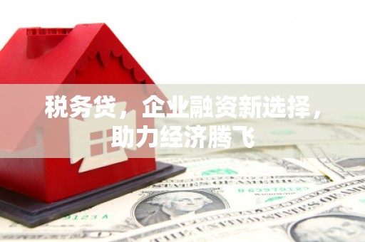 志丹税务贷，企业融资新选择，助力经济腾飞