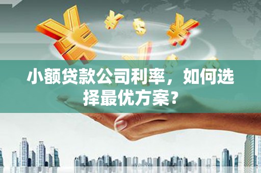 白山小额贷款公司利率，如何选择最优方案？