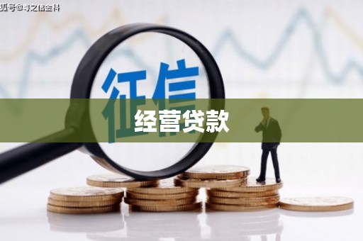 曲麻莱经营贷款