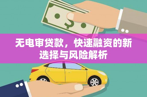 丽水无电审贷款，快速融资的新选择与风险解析