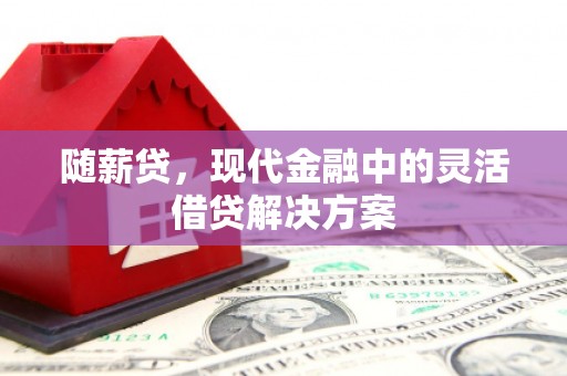 望谟随薪贷，现代金融中的灵活借贷解决方案