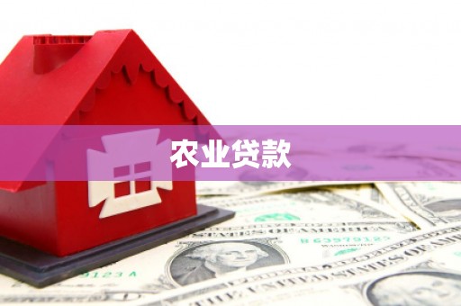 西双版纳农业贷款