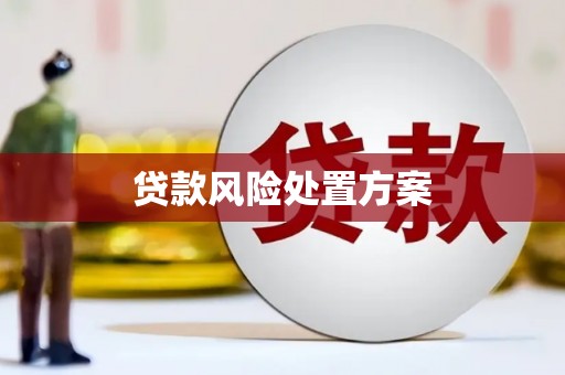 阳西贷款风险处置方案