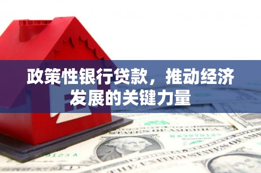 中正政策性银行贷款，推动经济发展的关键力量
