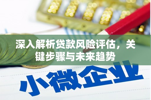 狮潭深入解析贷款风险评估，关键步骤与未来趋势