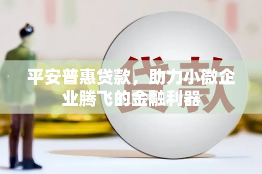 昆都仑平安普惠贷款，助力小微企业腾飞的金融利器