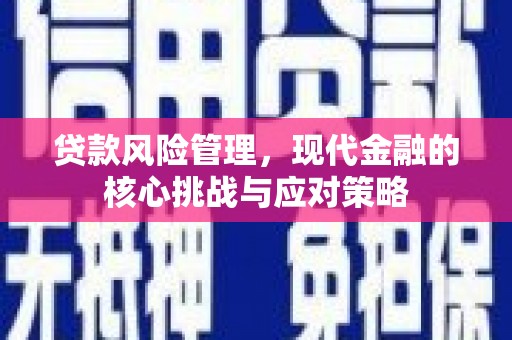 防城港贷款风险管理，现代金融的核心挑战与应对策略