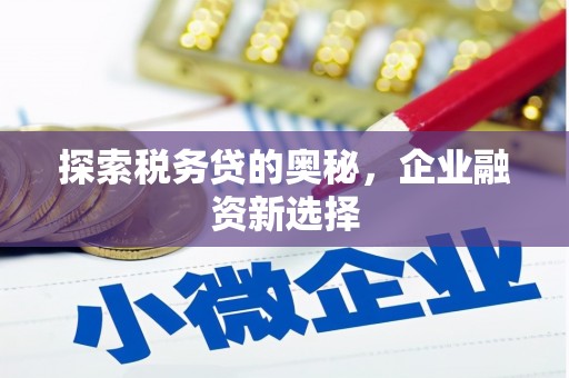 龙岗探索税务贷的奥秘，企业融资新选择