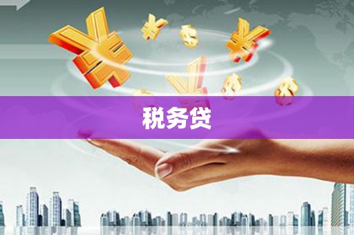 慈溪税务贷
