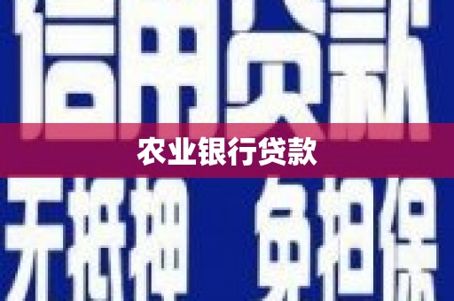 琼中农业银行贷款