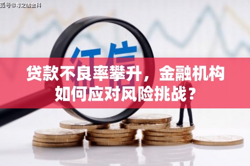 蒙城贷款不良率攀升，金融机构如何应对风险挑战？