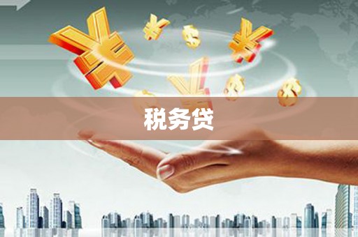清镇税务贷