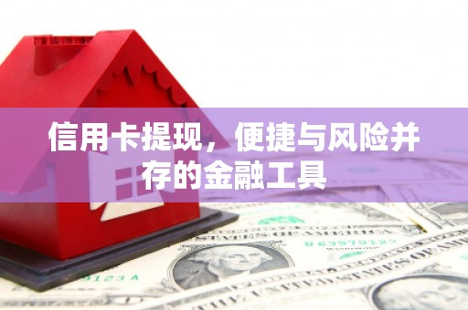 中宁信用卡提现，便捷与风险并存的金融工具