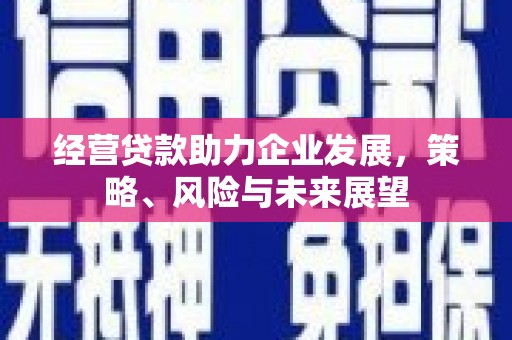 万源经营贷款助力企业发展，策略、风险与未来展望