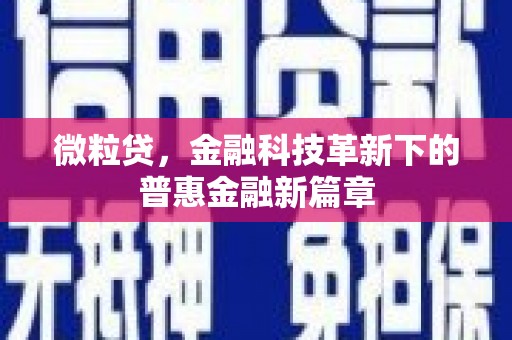 涟水微粒贷，金融科技革新下的普惠金融新篇章