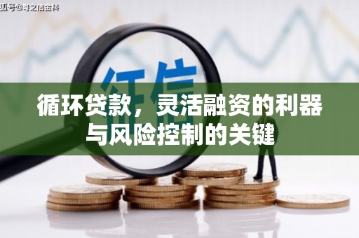 达仁循环贷款，灵活融资的利器与风险控制的关键