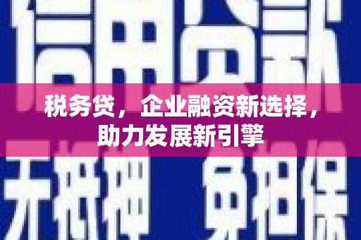 口湖税务贷，企业融资新选择，助力发展新引擎