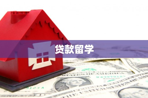 阳东贷款留学