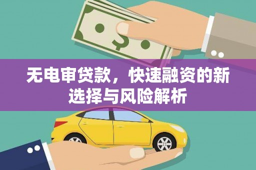 岷县无电审贷款，快速融资的新选择与风险解析