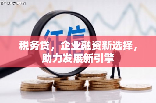 礼县税务贷，企业融资新选择，助力发展新引擎