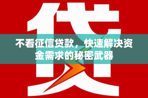 南安不看征信贷款，快速解决资金需求的秘密武器