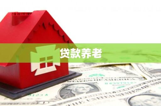 亭湖贷款养老