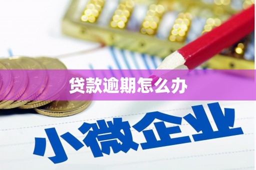 稻城贷款逾期怎么办
