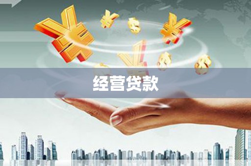 柳营经营贷款